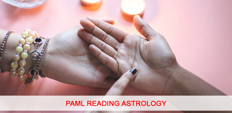 Paml Reading Astrology 